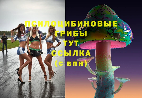 MDMA Premium VHQ Алзамай